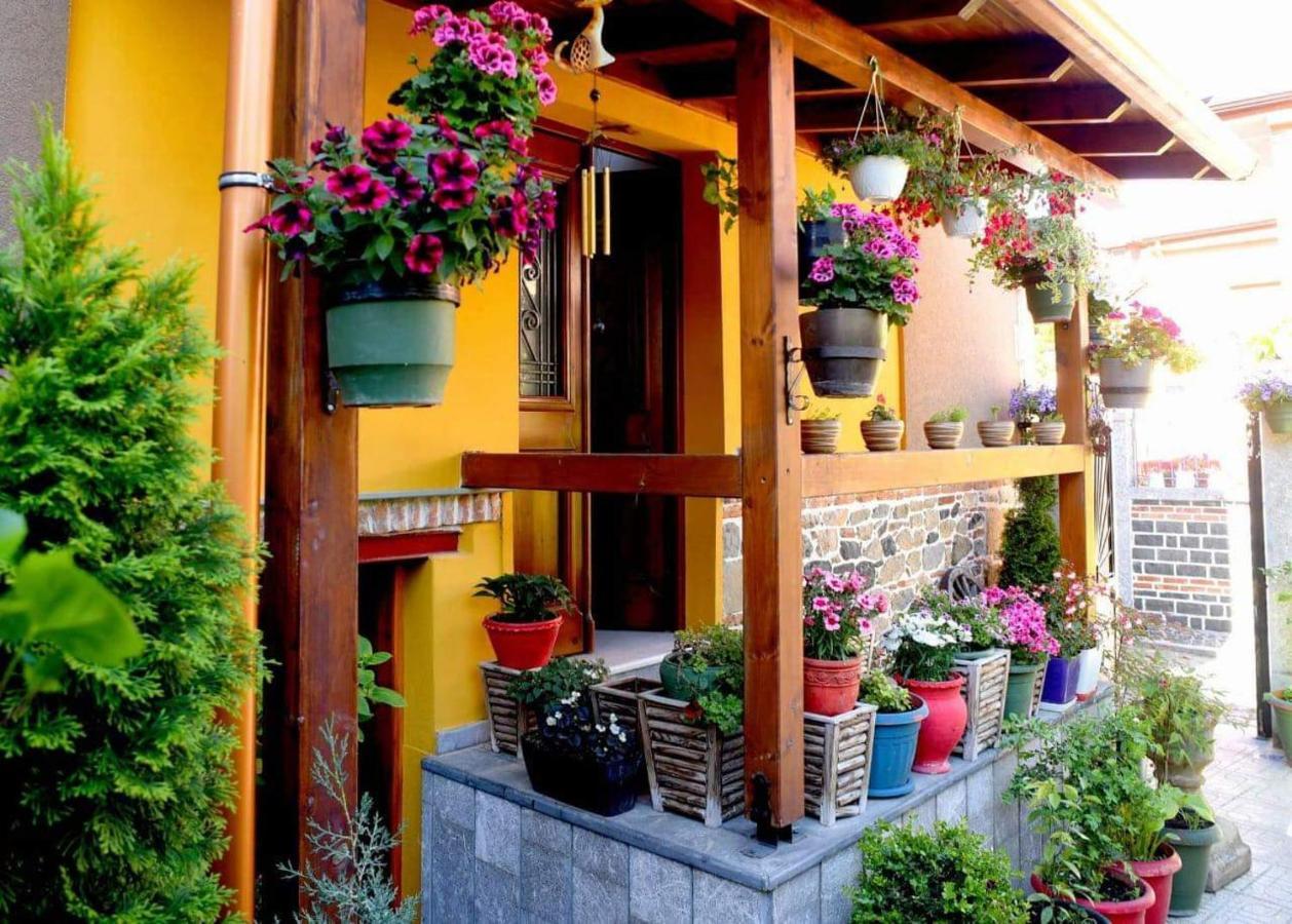 Hotel Bujtina Bicolli Görice Dış mekan fotoğraf